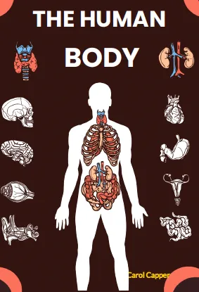 The Human Body Coloring Pages cover